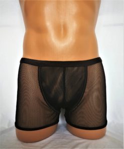 mesh panties