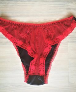 sissy satin brazilian panties