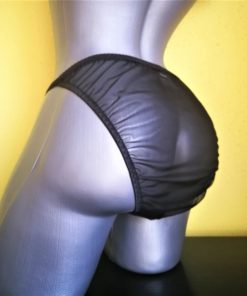 sissy sheer panties